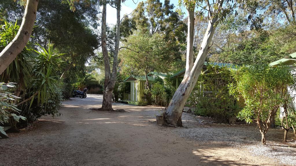 Camping La Cle Des Champs Calvi  Buitenkant foto