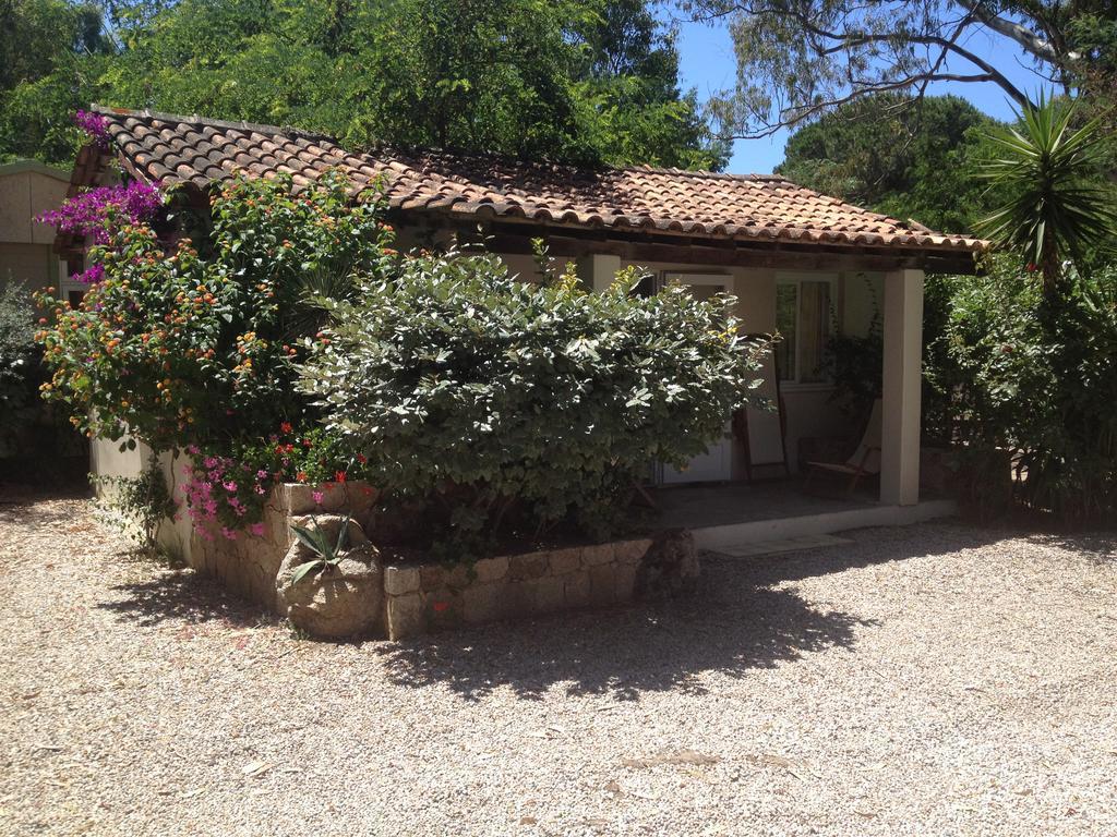 Camping La Cle Des Champs Calvi  Buitenkant foto