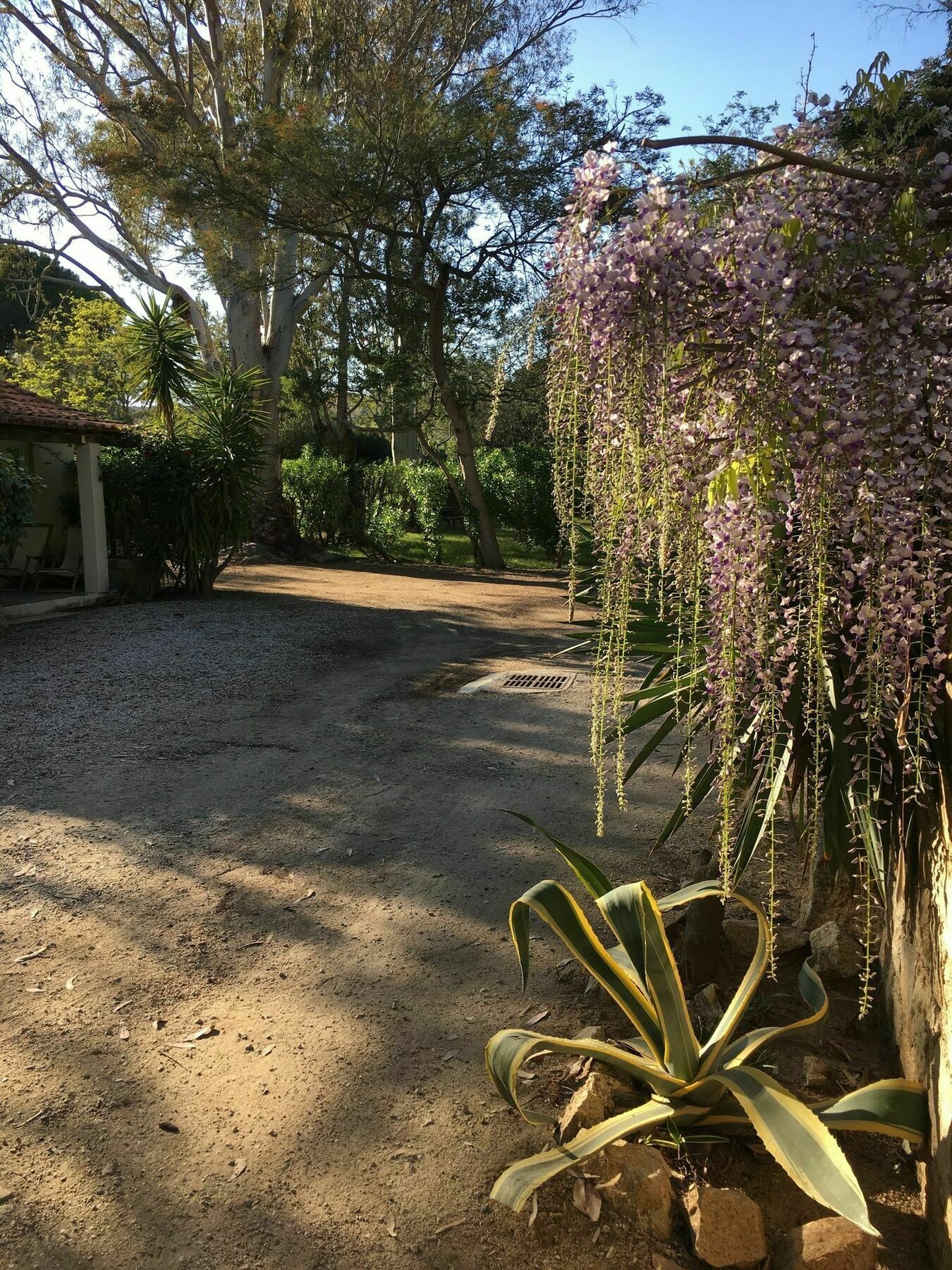 Camping La Cle Des Champs Calvi  Buitenkant foto